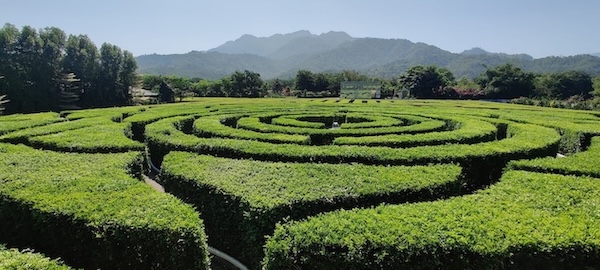 Guide To 182m Statue of Unity - World's Tallest Statue SOU - Maze Garden